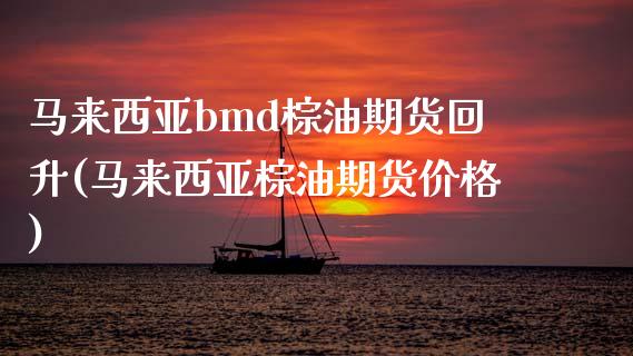 马来西亚bmd棕油期货回升(马来西亚棕油期货价格)_https://www.iteshow.com_黄金期货_第1张