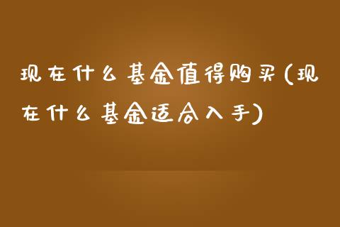 现在什么基金值得购买(现在什么基金适合入手)_https://www.iteshow.com_期货品种_第1张