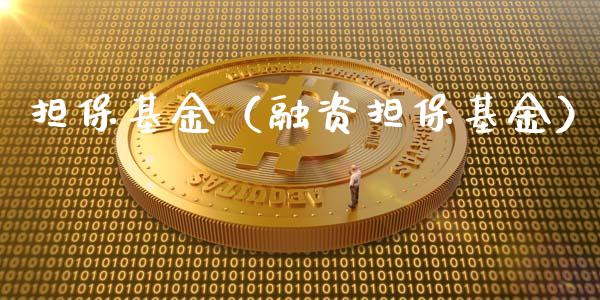 担保基金（融资担保基金）_https://www.iteshow.com_基金_第1张