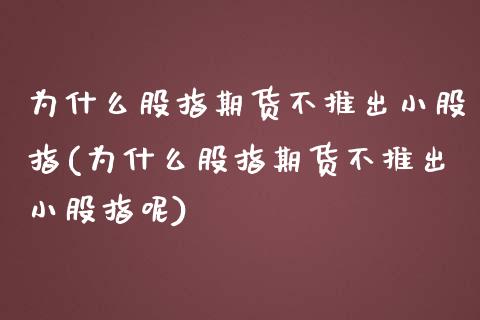 为什么股指期货不推出小股指(为什么股指期货不推出小股指呢)_https://www.iteshow.com_期货品种_第1张