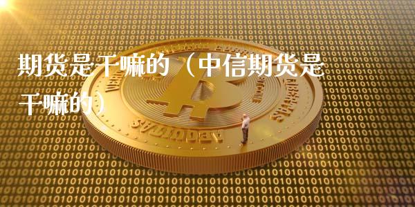 期货是干嘛的（中信期货是干嘛的）_https://www.iteshow.com_商品期权_第1张