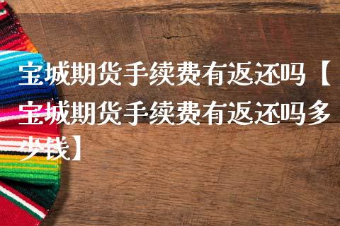 宝城期货手续费有返还吗【宝城期货手续费有返还吗多少钱】_https://www.iteshow.com_黄金期货_第1张