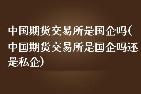 中国期货交易所是国企吗(中国期货交易所是国企吗还是私企)_https://www.iteshow.com_期货知识_第1张