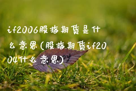 if2006股指期货是什么意思(股指期货if2004什么意思)_https://www.iteshow.com_股指期权_第1张