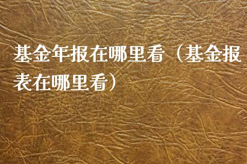 基金年报在哪里看（基金报表在哪里看）_https://www.iteshow.com_基金_第1张