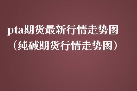 pta期货最新行情走势图（纯碱期货行情走势图）_https://www.iteshow.com_商品期货_第1张