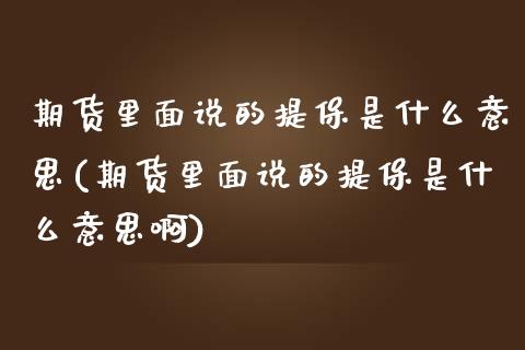 期货里面说的提保是什么意思(期货里面说的提保是什么意思啊)_https://www.iteshow.com_股票_第1张