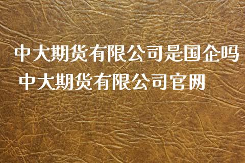 中大期货有限公司是国企吗 中大期货有限公司官网_https://www.iteshow.com_商品期权_第1张