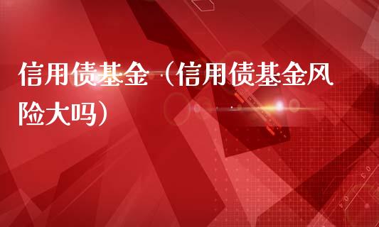 信用债基金（信用债基金风险大吗）_https://www.iteshow.com_基金_第1张