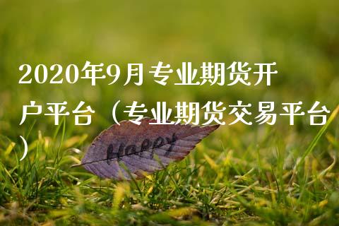 2020年9月专业期货开户平台（专业期货交易平台）_https://www.iteshow.com_期货公司_第1张