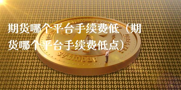 期货哪个平台手续费低（期货哪个平台手续费低点）_https://www.iteshow.com_期货公司_第1张