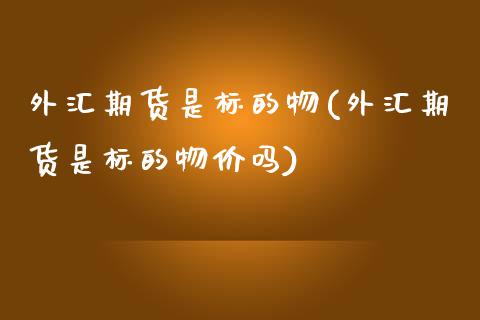 外汇期货是标的物(外汇期货是标的物价吗)_https://www.iteshow.com_期货开户_第1张