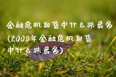 金融危机期货中什么跌最多(2008年金融危机期货中什么跌最多)_https://www.iteshow.com_商品期货_第1张