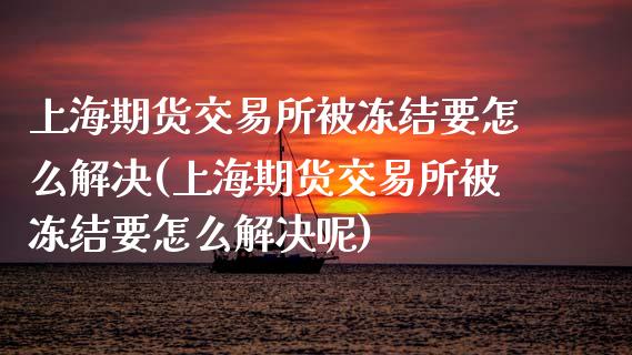 上海期货交易所被冻结要怎么解决(上海期货交易所被冻结要怎么解决呢)_https://www.iteshow.com_期货品种_第1张