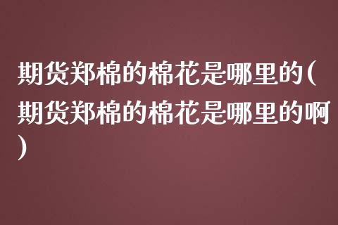 期货郑棉的棉花是哪里的(期货郑棉的棉花是哪里的啊)_https://www.iteshow.com_期货公司_第1张