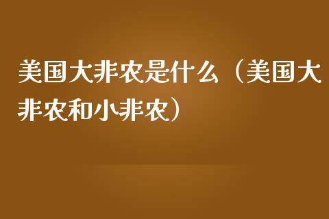 美国大非农是什么（美国大非农和小非农）_https://www.iteshow.com_黄金期货_第1张