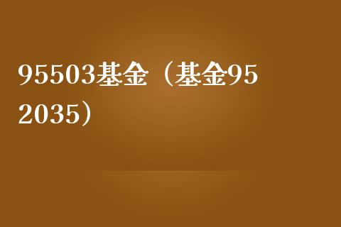 95503基金（基金952035）_https://www.iteshow.com_基金_第1张