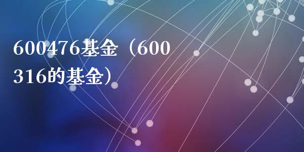 600476基金（600316的基金）_https://www.iteshow.com_基金_第1张