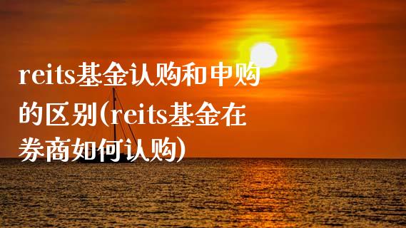 reits基金认购和申购的区别(reits基金在券商如何认购)_https://www.iteshow.com_原油期货_第1张