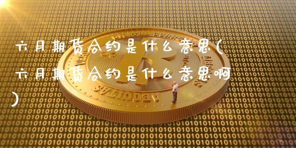 六月期货合约是什么意思(六月期货合约是什么意思啊)_https://www.iteshow.com_期货公司_第1张