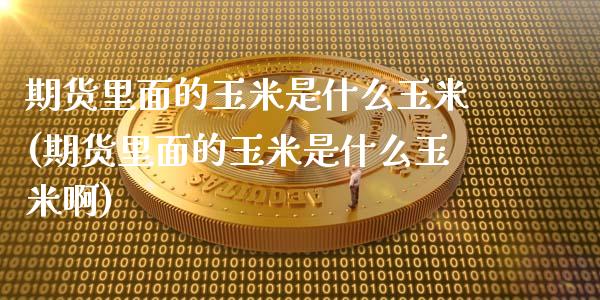 期货里面的玉米是什么玉米(期货里面的玉米是什么玉米啊)_https://www.iteshow.com_股指期权_第1张