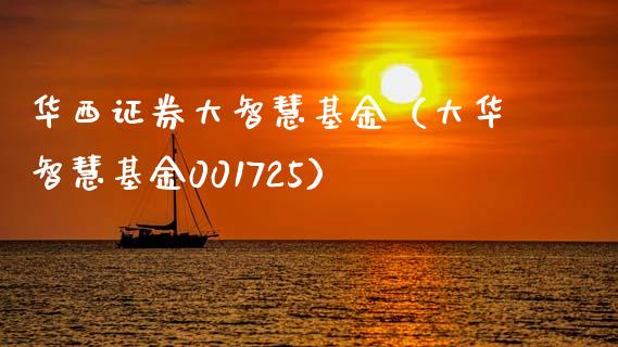 华西证券大智慧基金（大华智慧基金001725）_https://www.iteshow.com_基金_第1张