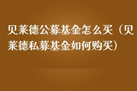 贝莱德公募基金怎么买（贝莱德私募基金如何购买）_https://www.iteshow.com_基金_第1张