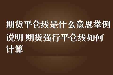 期货平仓线是什么意思举例说明 期货强行平仓线如何计算_https://www.iteshow.com_商品期权_第1张