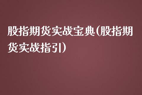 股指期货实战宝典(股指期货实战指引)_https://www.iteshow.com_期货手续费_第1张