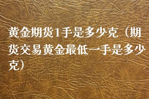 黄金期货1手是多少克（期货交易黄金最低一手是多少克）_https://www.iteshow.com_期货品种_第1张