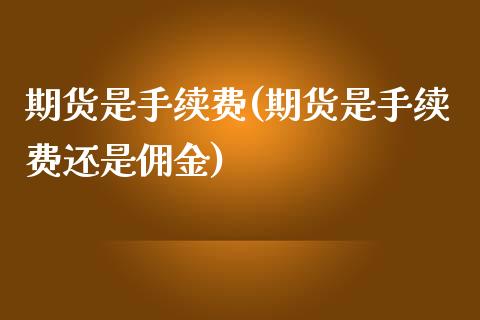 期货是手续费(期货是手续费还是佣金)_https://www.iteshow.com_期货开户_第1张