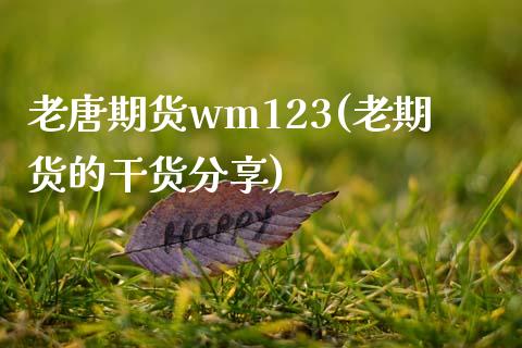 老唐期货wm123(老期货的干货分享)_https://www.iteshow.com_基金_第1张