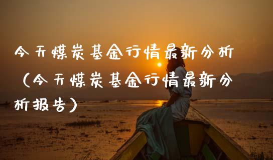 今天煤炭基金行情最新分析（今天煤炭基金行情最新分析报告）_https://www.iteshow.com_基金_第1张