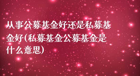 从事公募基金好还是私募基金好(私募基金公募基金是什么意思)_https://www.iteshow.com_黄金期货_第1张