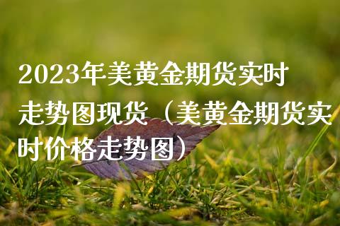 2023年美黄金期货实时走势图现货（美黄金期货实时价格走势图）_https://www.iteshow.com_期货知识_第1张