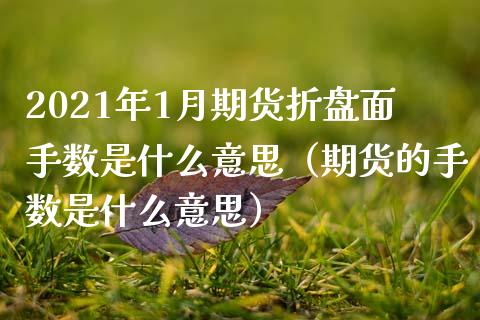 2021年1月期货折盘面手数是什么意思（期货的手数是什么意思）_https://www.iteshow.com_期货开户_第1张