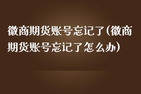 徽商期货账号忘记了(徽商期货账号忘记了怎么办)_https://www.iteshow.com_期货百科_第1张