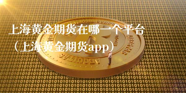 上海黄金期货在哪一个平台（上海黄金期货app）_https://www.iteshow.com_期货交易_第1张