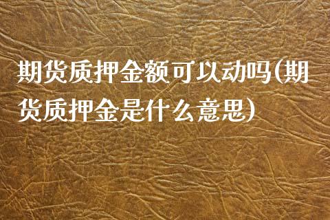 期货质押金额可以动吗(期货质押金是什么意思)_https://www.iteshow.com_期货百科_第1张