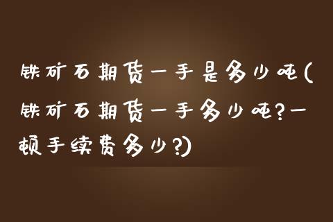 铁矿石期货一手是多少吨(铁矿石期货一手多少吨?一顿手续费多少?)_https://www.iteshow.com_股指期货_第1张