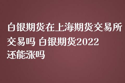 白银期货在上海期货交易所交易吗 白银期货2022还能涨吗_https://www.iteshow.com_期货手续费_第1张