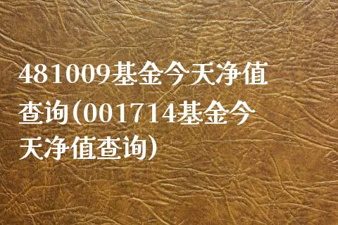 481009基金今天净值查询(001714基金今天净值查询)_https://www.iteshow.com_黄金期货_第1张