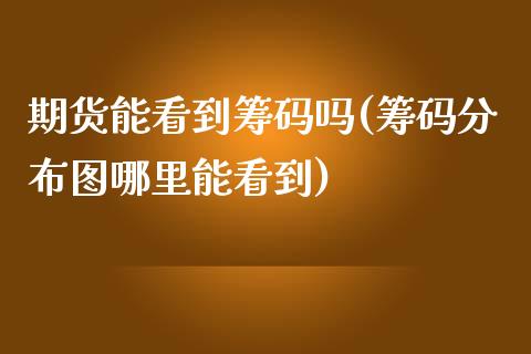 期货能看到筹码吗(筹码分布图哪里能看到)_https://www.iteshow.com_期货手续费_第1张