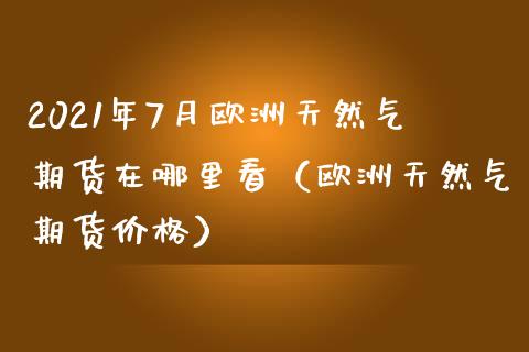 2021年7月欧洲天然气期货在哪里看（欧洲天然气期货价格）_https://www.iteshow.com_股指期权_第1张