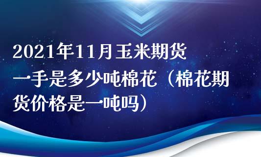 2021年11月玉米期货一手是多少吨棉花（棉花期货价格是一吨吗）_https://www.iteshow.com_期货交易_第1张