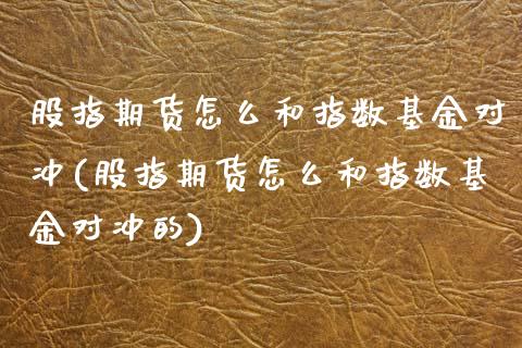 股指期货怎么和指数基金对冲(股指期货怎么和指数基金对冲的)_https://www.iteshow.com_期货公司_第1张