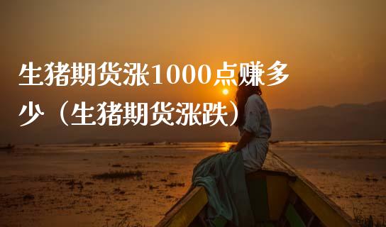 生猪期货涨1000点赚多少（生猪期货涨跌）_https://www.iteshow.com_期货公司_第1张