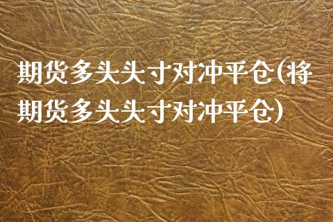 期货多头头寸对冲平仓(将期货多头头寸对冲平仓)_https://www.iteshow.com_期货公司_第1张