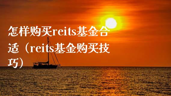 怎样购买reits基金合适（reits基金购买技巧）_https://www.iteshow.com_基金_第1张