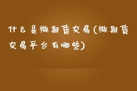 什么是微期货交易(微期货交易平台有哪些)_https://www.iteshow.com_股指期货_第1张